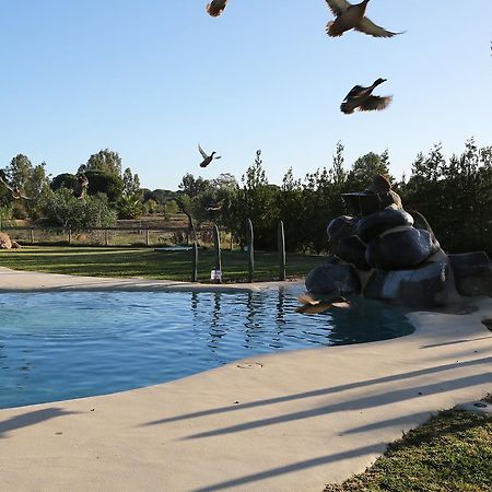 Ardea Purpurea Otel Villamanrique De La Condesa Dış mekan fotoğraf