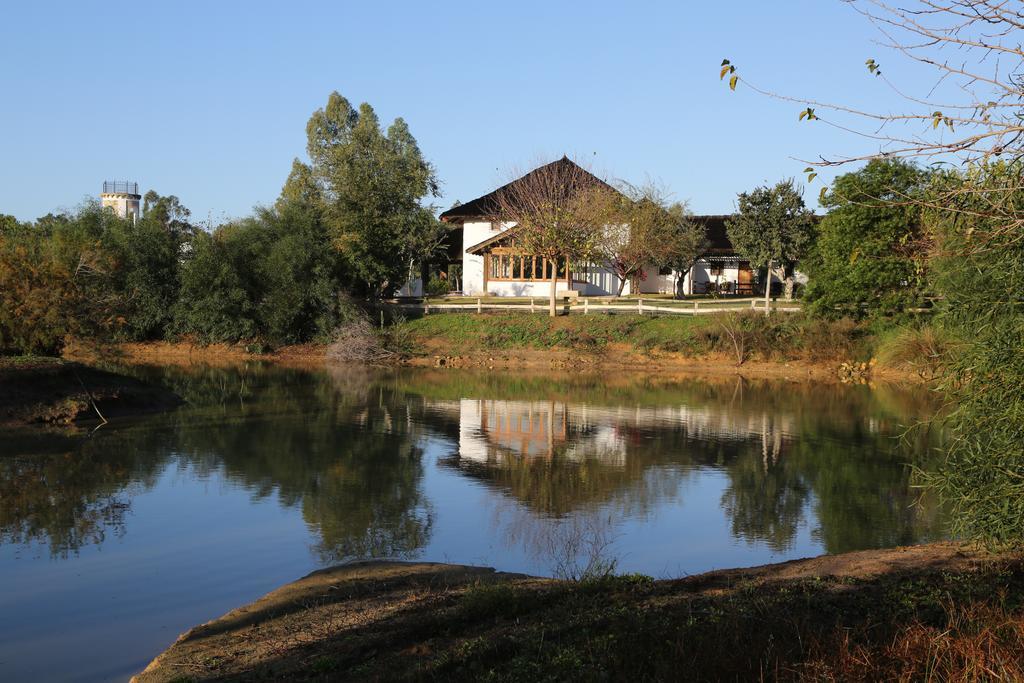 Ardea Purpurea Otel Villamanrique De La Condesa Dış mekan fotoğraf