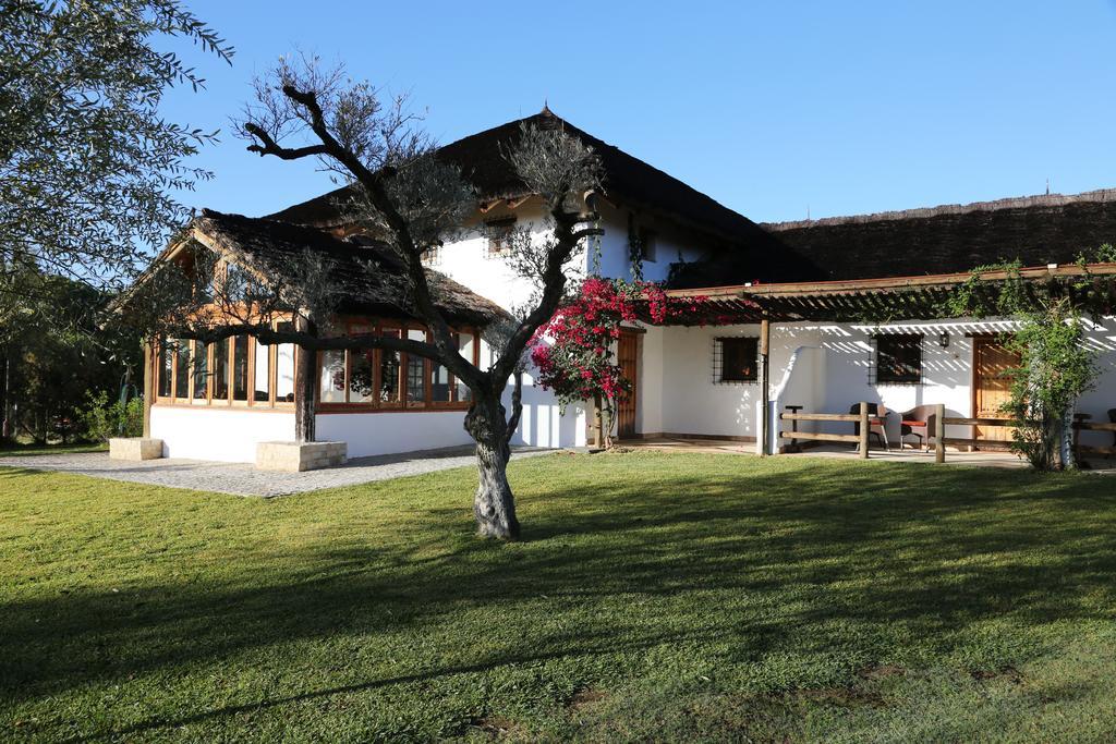 Ardea Purpurea Otel Villamanrique De La Condesa Dış mekan fotoğraf