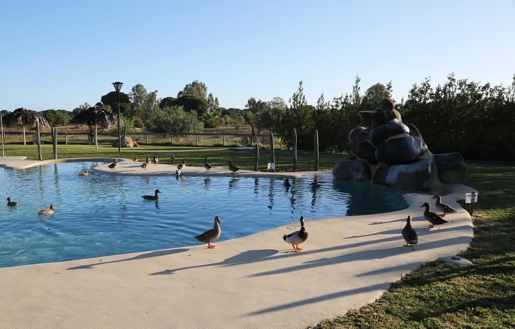 Ardea Purpurea Otel Villamanrique De La Condesa Dış mekan fotoğraf