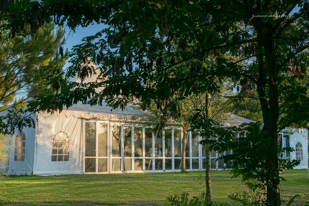 Ardea Purpurea Otel Villamanrique De La Condesa Dış mekan fotoğraf