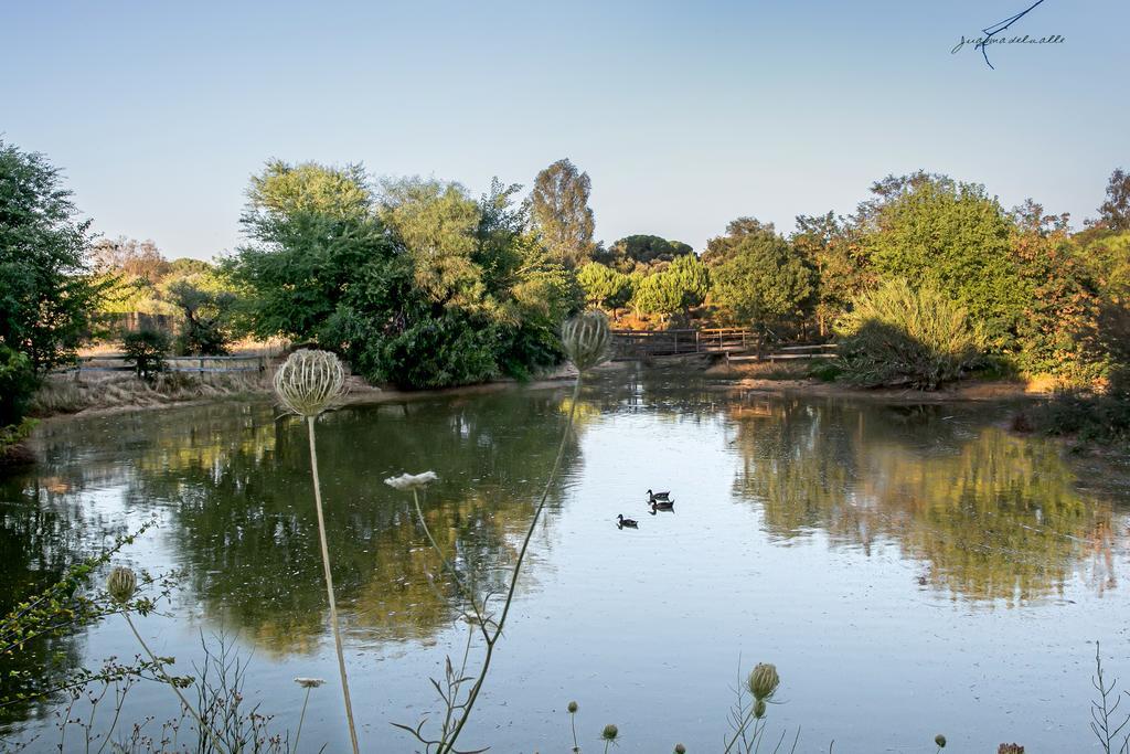 Ardea Purpurea Otel Villamanrique De La Condesa Dış mekan fotoğraf