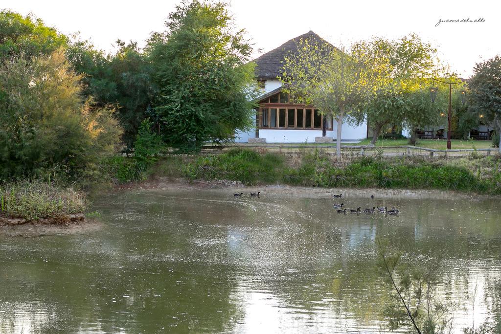 Ardea Purpurea Otel Villamanrique De La Condesa Dış mekan fotoğraf