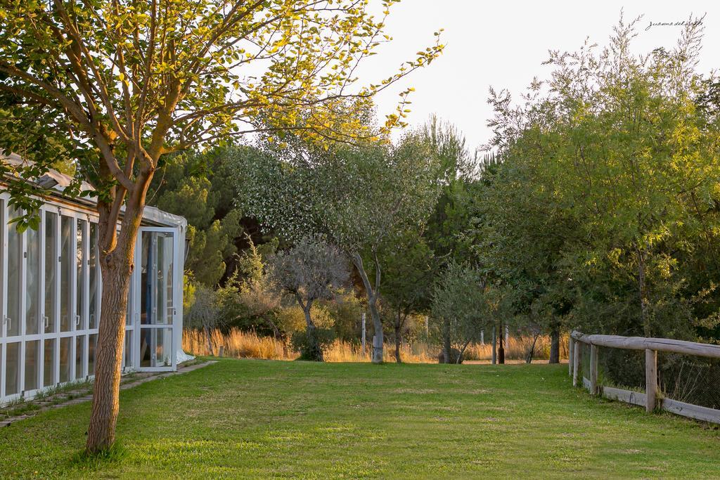 Ardea Purpurea Otel Villamanrique De La Condesa Dış mekan fotoğraf