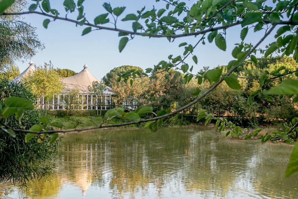 Ardea Purpurea Otel Villamanrique De La Condesa Dış mekan fotoğraf