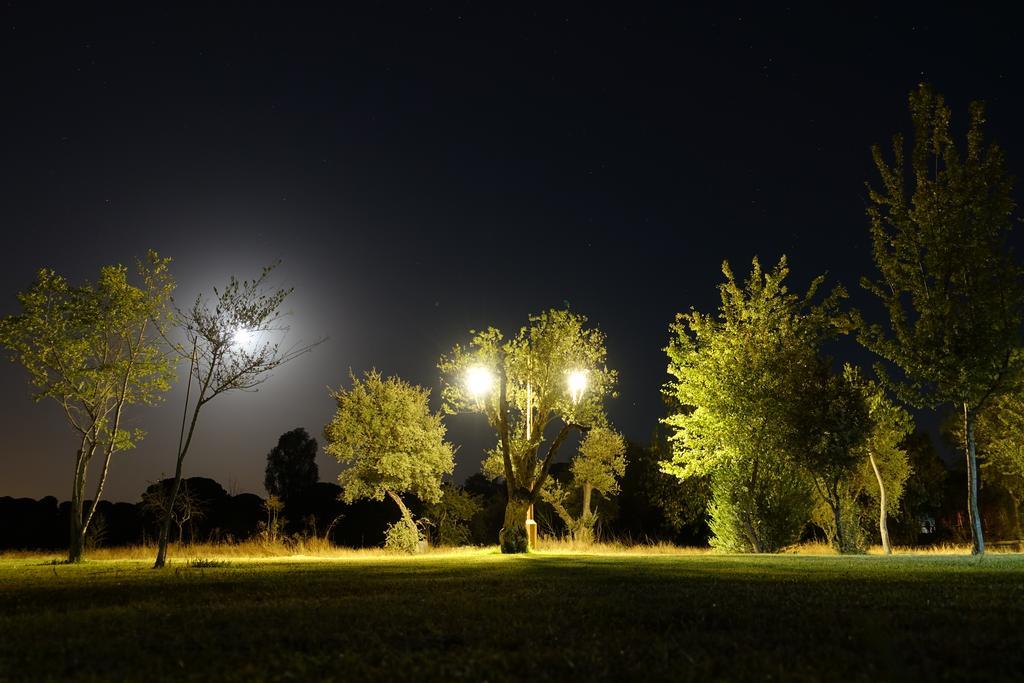 Ardea Purpurea Otel Villamanrique De La Condesa Dış mekan fotoğraf