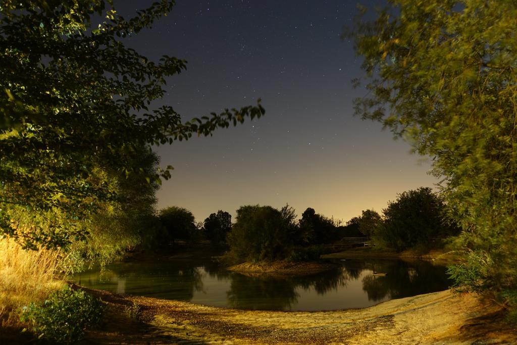 Ardea Purpurea Otel Villamanrique De La Condesa Dış mekan fotoğraf